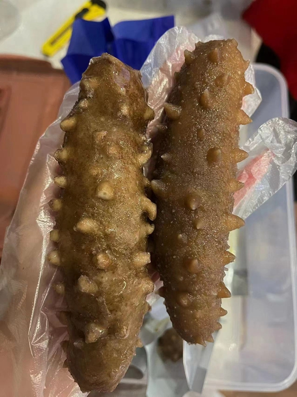 参类